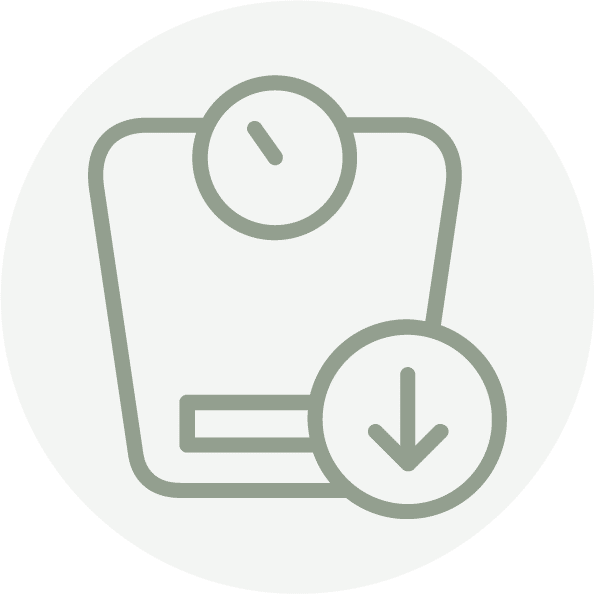 Weight Optimization Icon